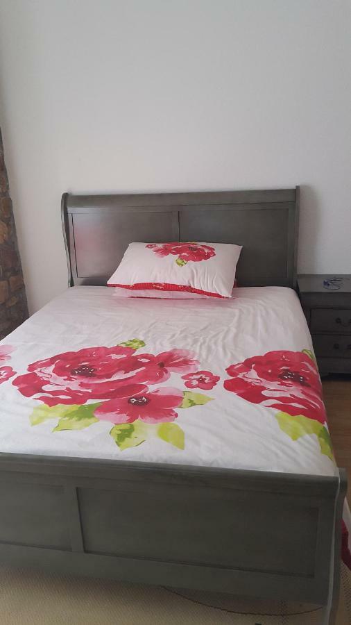 Sara Hotel Buzet Luaran gambar