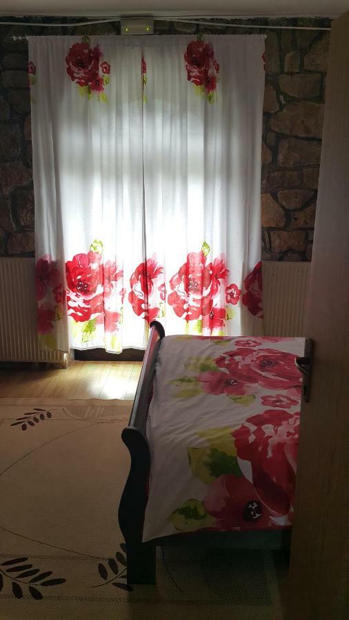 Sara Hotel Buzet Luaran gambar